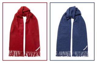 颜色选的对，围巾大衣更般配